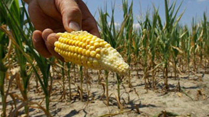Mnet 128358 Corn Drought Lead