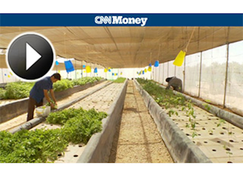 Mnet 132698 Farming In The Desert Lead