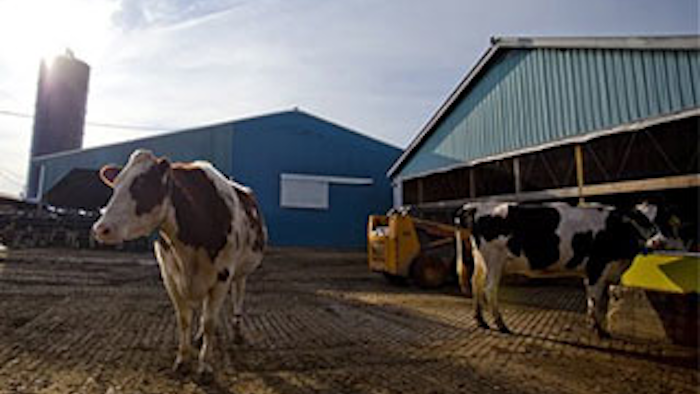 Mnet 133586 Farm Bill Dairy Lead