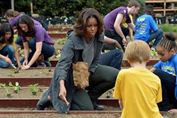 Mnet 134761 Flotus Lead