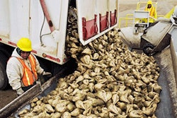 Mnet 136089 Sugar Beets Lead