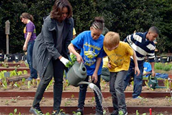 Mnet 136423 Obama Garden Lead
