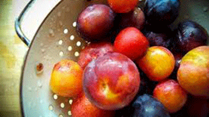 Mnet 137145 Stone Fruit Lead