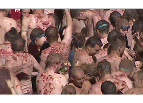 Mnet 137721 Food Fight Lead