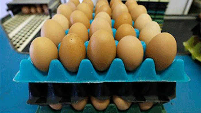 Mnet 148295 Cagefreeeggslead