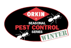 Mnet 148848 Orkin Seasonal Winter Hero