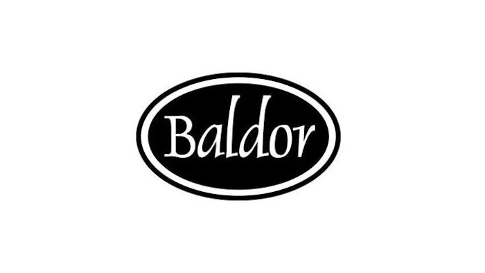 Mnet 153113 Baldor Logo Listing
