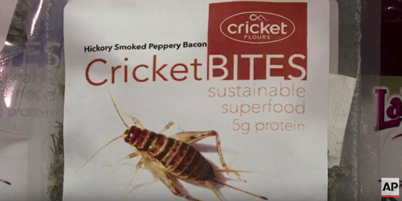 Mnet 153198 Cricket Ap Video Image Listing