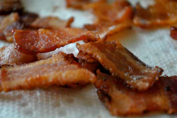 Bacon Flickr 58934a90c15b8