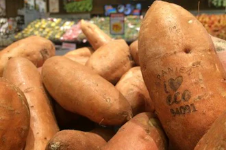 laser marks have replaced labels