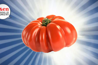 Tomato 58d131843cb3b