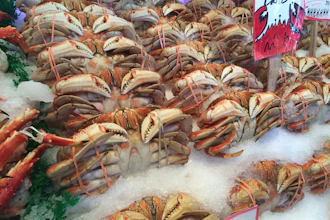 Seafood Pexels 58ff5c1fb34d9