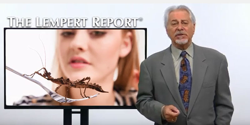 Mnet 154045 Lempert Insects Listing Image