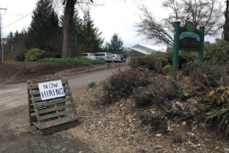 Brooks Tree Farm