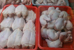 Raw Chicken Wiki 5915c76f22b99