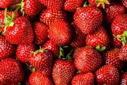 Mnet 154240 Strawberries 800x400