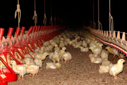 Chicken Production Tyson Ap 594a7d2c657bb