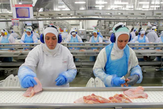 Meat Production Ap 594d18aec79c0