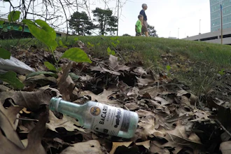 Bottle 59664196c8588