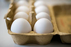 Tainted Eggs Ap