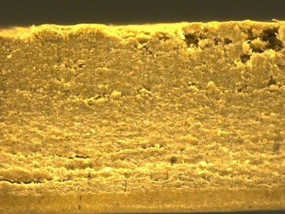 Cross sectional image of compressed fiber sample. (Image courtesy of Garlock)