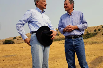 Montana Beef