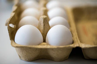 Tainted Eggs Ap