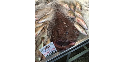 In this Sept. 9, 2016 photo, a Monkfish dwarfs other fish being are offered for sale at a market in Portland, Maine. Members of the fishing industry, regulators and environmentalists are trying to convince U.S. consumers in 2018 to eat more of the particularly weird looking fish. (AP Photo/Patrick Whittle)