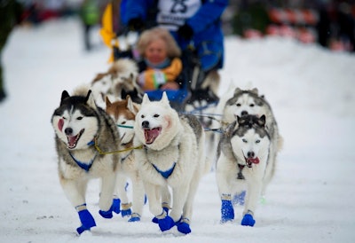 Jack Daniels Iditarod Sponsorship Ap