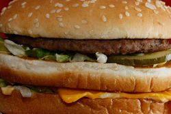 FILE - This Dec. 29, 2009 file photo shows a Big Mac hamburger at a McDonald's restaurant in North Huntingdon, Pa. The fast food restaurant is celebrating the sandwich's 50th anniversary in 2018. (AP Photo/Keith Srakocic)