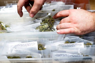Legal Pot Ca Ap