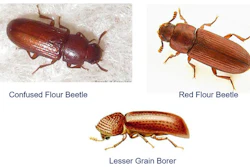 Mnet 195653 Stored Product Pests Listing