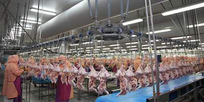 Betagro processes approximately 34 million birds per week, 17.7 million pork heads per year and 43 million eggs per day.