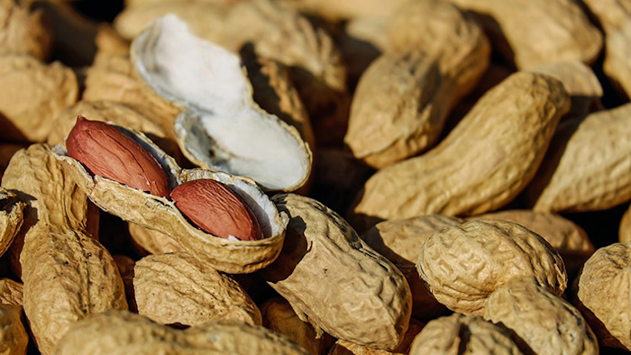 Approximately 90 percent of allergic reactions stem from just eight foods: milk, eggs, peanuts, tree nuts, soy, wheat, fish and shellfish.