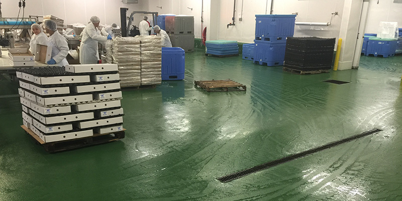 Moisture-tolerant, thermal shock-resistant cementitious urethane flooring is ideal for this busy fish processing facility. (Photo courtesy of Florock Polymer Flooring)