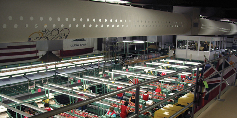 Fabric diffusers can be specially designed for specific food facility applications with antimicrobial fabric. They even allow for customized aesthetics — from color scheme to company logos. (Photo courtesy of DuctSox)