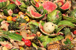 Food Waste