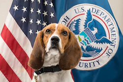 Flag Photo