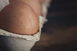 Mnet 196670 Advanta Egg Image