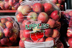 Mnet 197450 New England Apples Ap