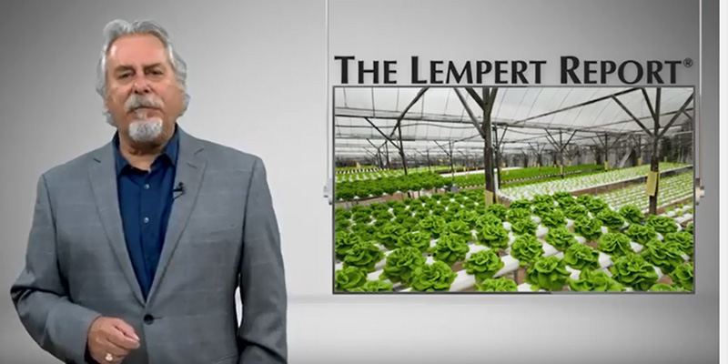 Mnet 197524 Lempert Oct30 Listing