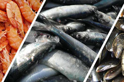 Mnet 197611 Seafood Cc0 Public Domain