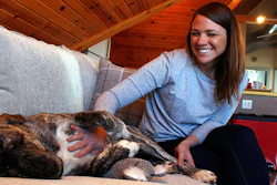 In this Saturday, Nov. 10, 2018, photo Lauren Ray pets her 9-month-old dog Bear in her Milwaukee home. Ray says she is happy to hear Petco is announcing Tuesday, Nov. 13, that it plans to stop selling dog and cat food and treats with artificial colors, flavors and preservatives, both online and at its 1,500 stores in the U.S. and Puerto Rico by May 2019. She feeds her dog organic food and hopes Petco's change will help her find more varieties at a convenient location. (AP Photo/Carrie Antlfinger)