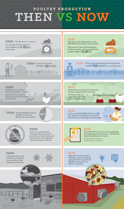 Mnet 198050 Sanderson Farms Infographic Inside Listing