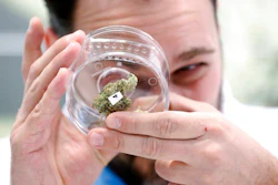 Marijuana Industry Ap