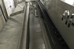Igus Cheese Plant