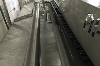 Igus Cheese Plant