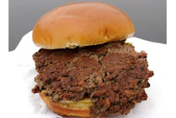 Plant Based Burger Ap Sized