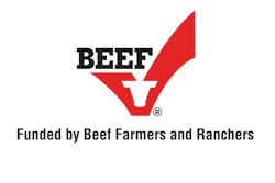 Mnet 203231 Beef Study Listing Image