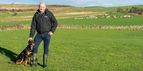 In this photo taken on Monday, Jan. 28, 2019, Farmer and National Farmers Union President for Wales John Davies on his sheep farm in the Brecon Beacons, Wales. UK meat producers are particularly vulnerable to the threat of a no-deal Brexit. That’s because 90 percent of their exports go to EU countries, meaning many would find themselves in jeopardy because of the tariffs and border delays that would follow a disorderly exit from the bloc. (AP Photo/Jo Kearney)